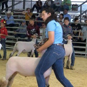 citrusvalleyffa's tweet photo. Howdy y’all, my name is Jade Garcia and I am proudly representing the La Joya FFA chapter as your Citrus Valley District Reporter. I am looking forward to working and growing with this year’s amazing officer team. Love y’all and stay safe CVD!!❤️🍊🍋 https://t.co/gl1WOUedFj