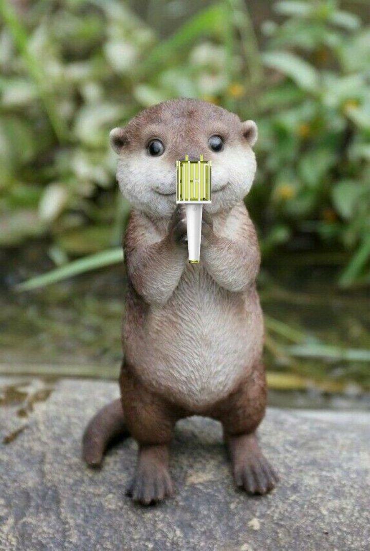 Scenariohs's tweet photo. อ้ยยโชทาโร่โดนย่อส่วน https://t.co/m71sKWVFy9