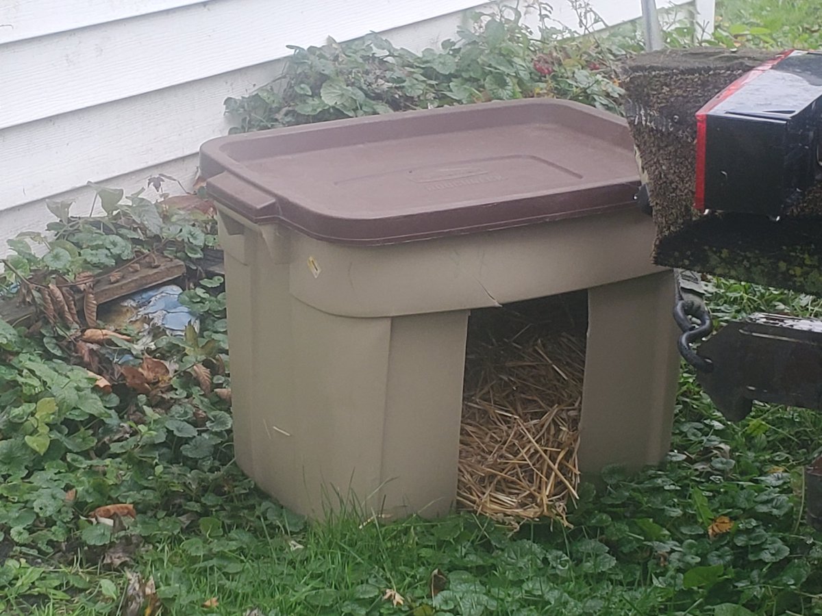 Momma made two little huts for the outdoor critters. Not fancy, unfortunately. But it's something https://t.co/nwJk65oquz