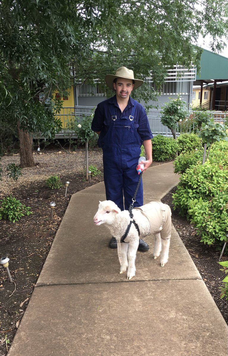 Deb Charlton tweet media