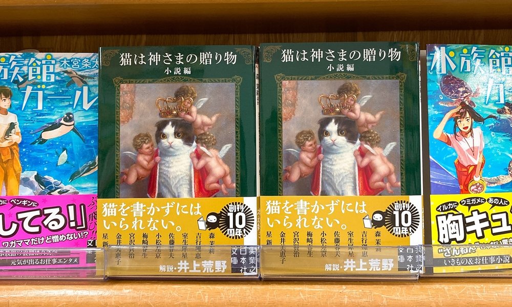丸善ジュンク堂書店劇場 気になる本 猫は神さまの贈り物 小説編 T Co Zpicktxivd 本 好きと猫好きは何故か似ている 森茉莉 室生犀星 小松左京 宮沢賢治 星新一ら個性派作家たちによる 孤高を愛する人のための珠玉の 猫 小説集