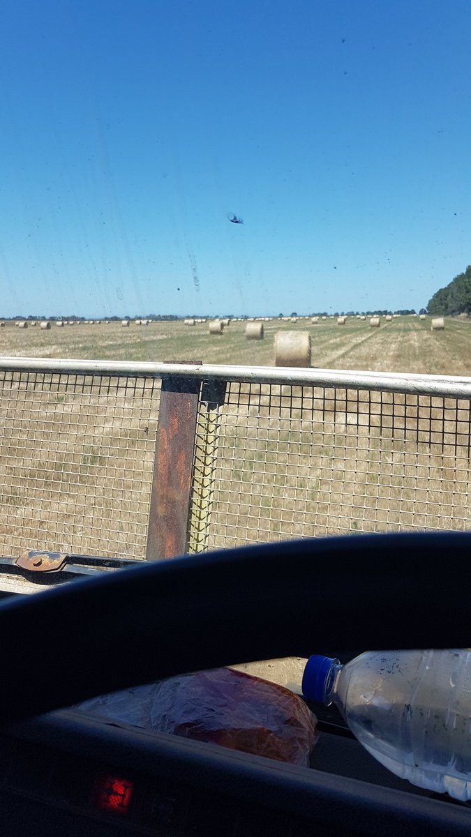 Not my fav job but it has to be done