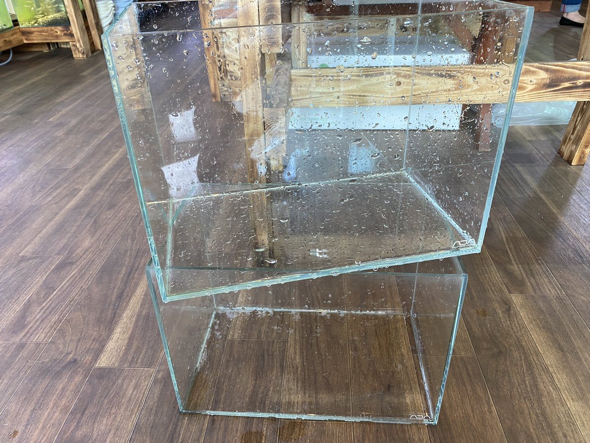 Aqua Revelation J B 中古 Ada キューブガーデン 36 22 26cm 1本 00 在庫 11本 多少欠け等あるので お選びください 水槽 中古 Ada キューブガーデン 川越 埼玉 Aqua Revelation J B 中古 Ada キューブガーデン 36 22 26cm 1本 00 在庫 11本 多少欠け等あるので お選びください 水槽 中古 Ada キューブガーデン 川越 埼玉