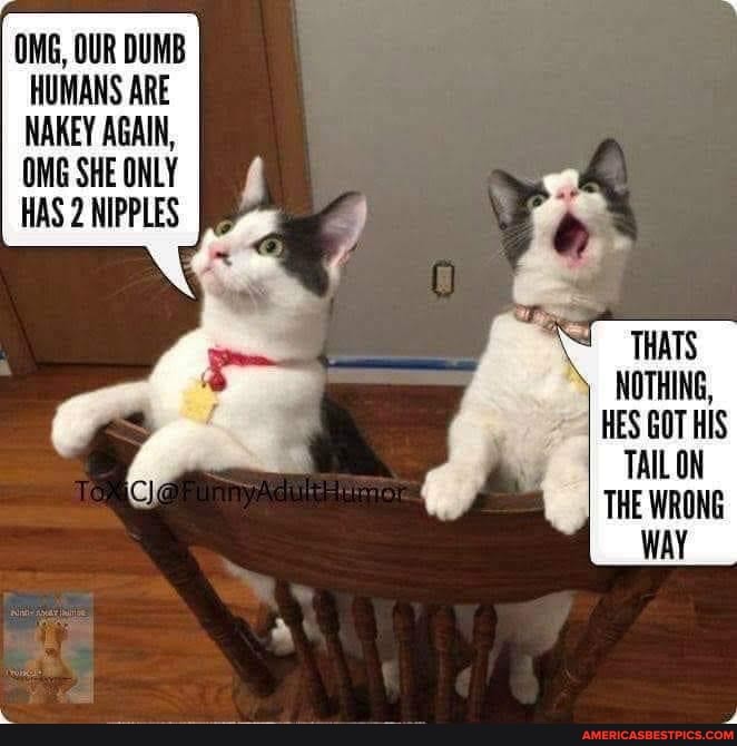 #sex #love #sexy #follow #like #hot #gay #bhfyp #sexshop #sextoys #memes #art #porn #sexo #s #girl #relationships