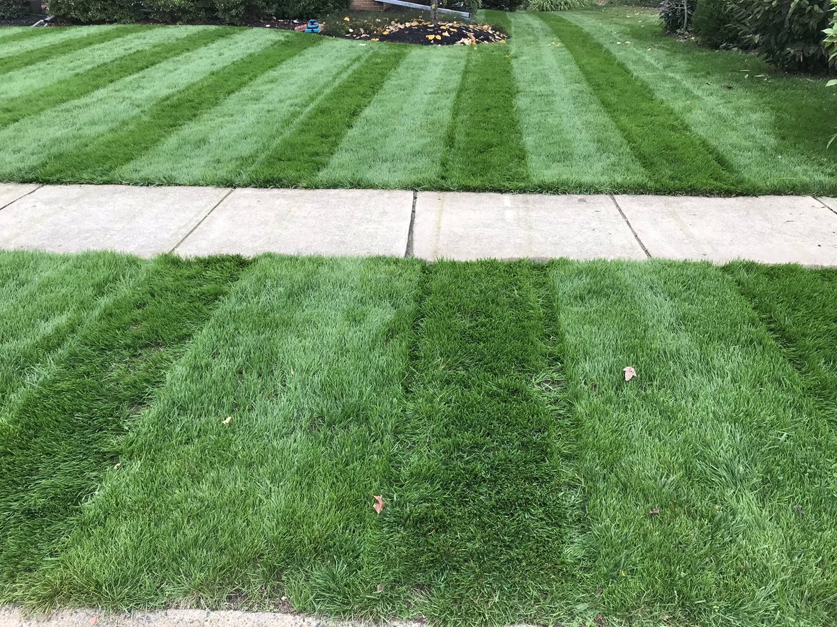 nbuttorff's tweet photo. Hi stripes 🔥🔥🔥!  I have missed you. 5 weeks post seeding, time to finish the year strong! #lawnengineer https://t.co/WNWayqxQ4p