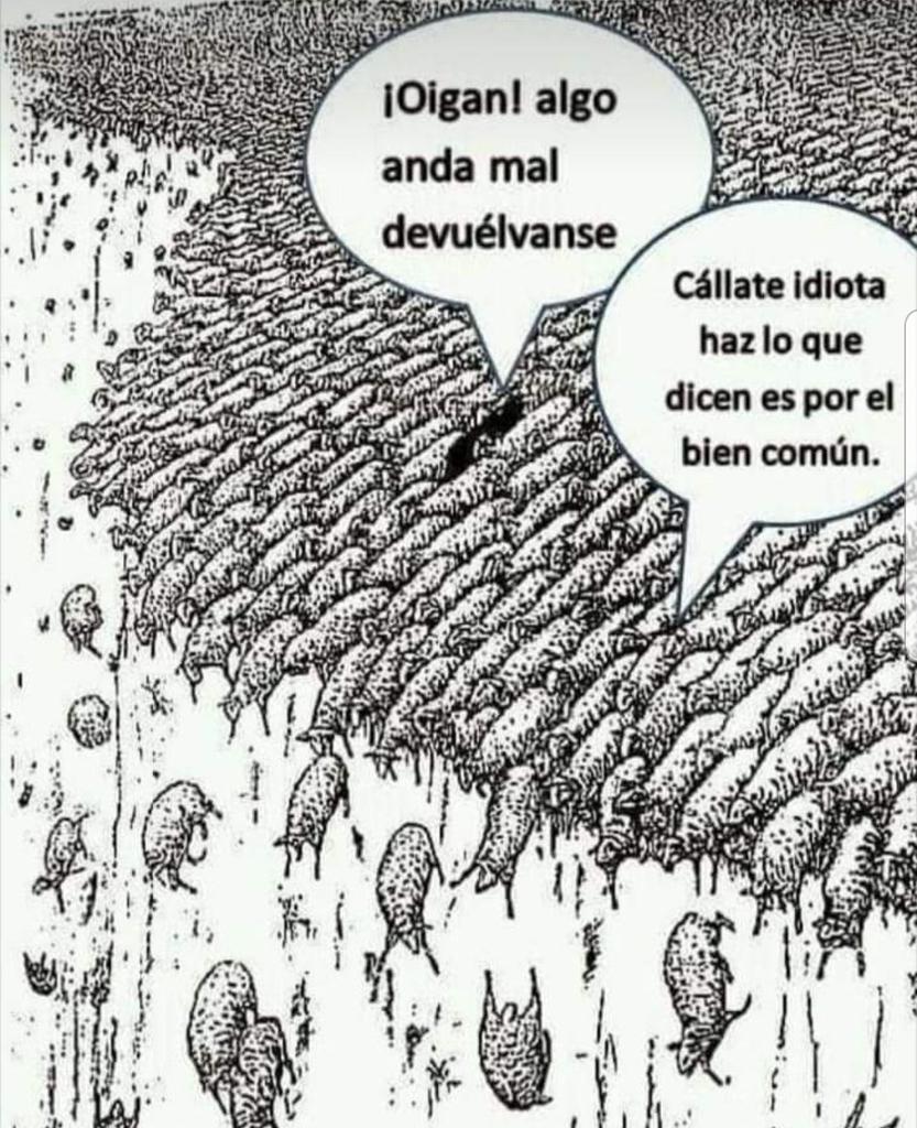jocanavarro's tweet photo. Si tuviéramos que representar gráficamente lo ocurrido en el plebiscito, este sería el cuadro. https://t.co/j9gbhaXSRl