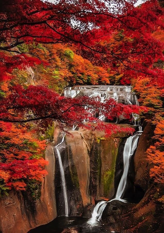 Norway_Pine's tweet photo. Fall Foliage 🎨 https://t.co/Plg0co17cc