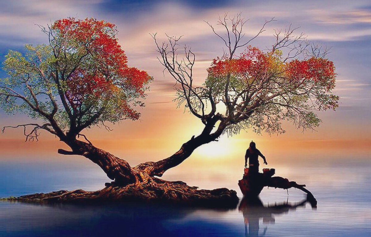 Dr. iMad د. عماد tweet media