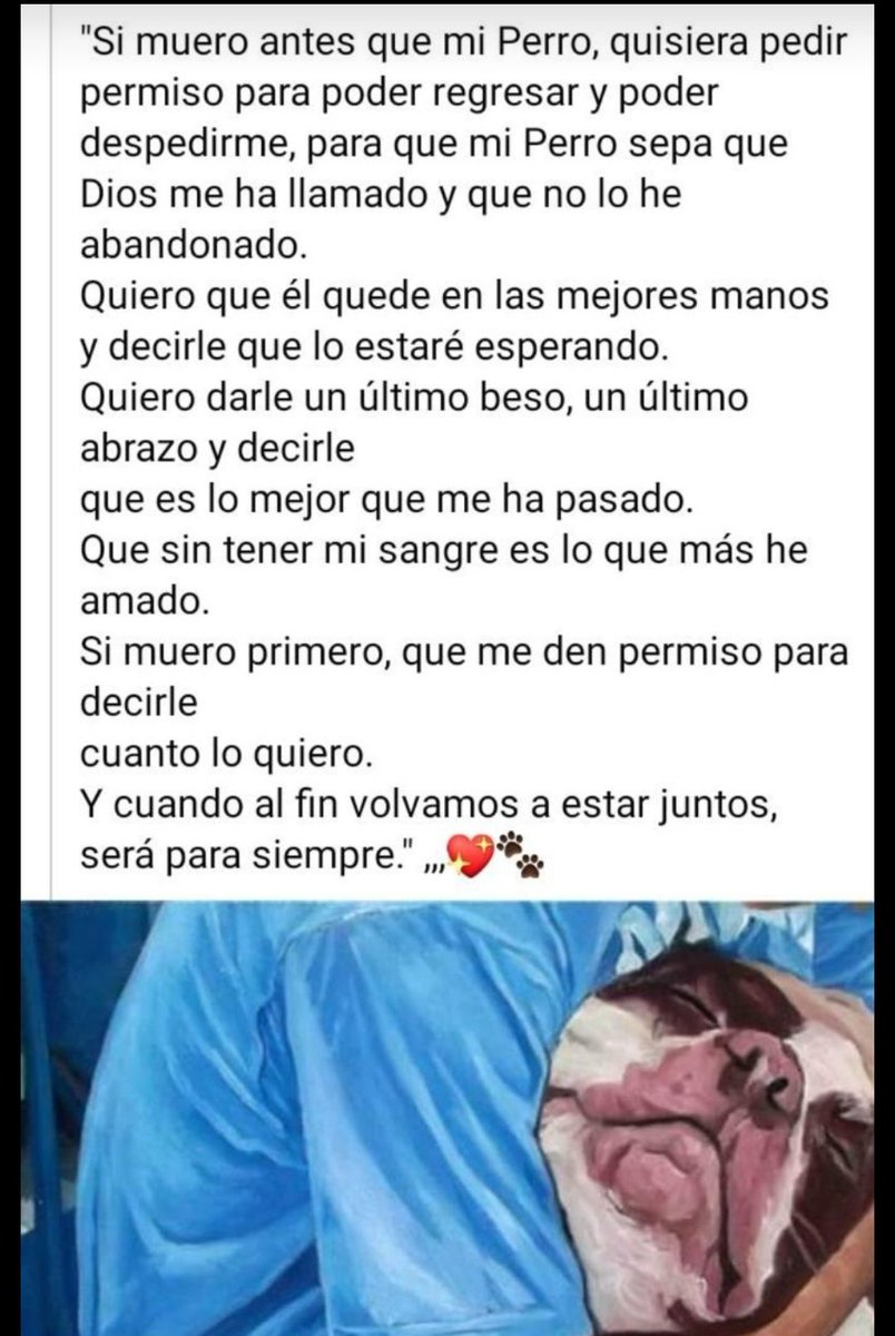 Amapola 🌹 tweet media