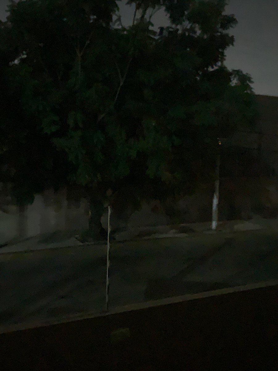 lanorilla's tweet photo. @Linea_Zapopan varias luminarias sin funcionar, calle Montemorelos entre calle 3 y Conchitas, Loma Bonita, una cueva de lobo CP 45088 https://t.co/XEmhrz4sCA