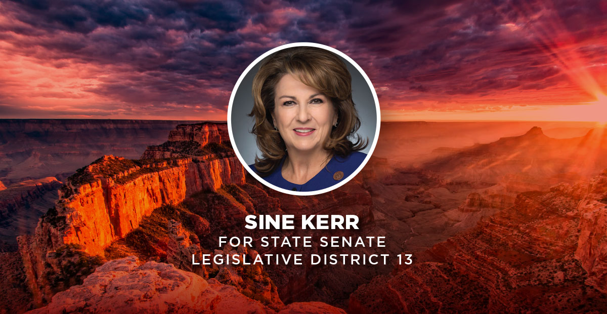 AZGOP's tweet photo. Join us in supporting our #LD13 Republican nominees:

✅ @SineKerr for State Senate
➡️ https://t.co/hEzg6H55VI

✅ @ElectDunn for State House
➡️ https://t.co/YBu0tP9iUV

✅ @JoanneOsborne8 for State House
➡️ https://t.co/ebrQTgEmRn

#LeadRight https://t.co/tIBdF6u0Uf