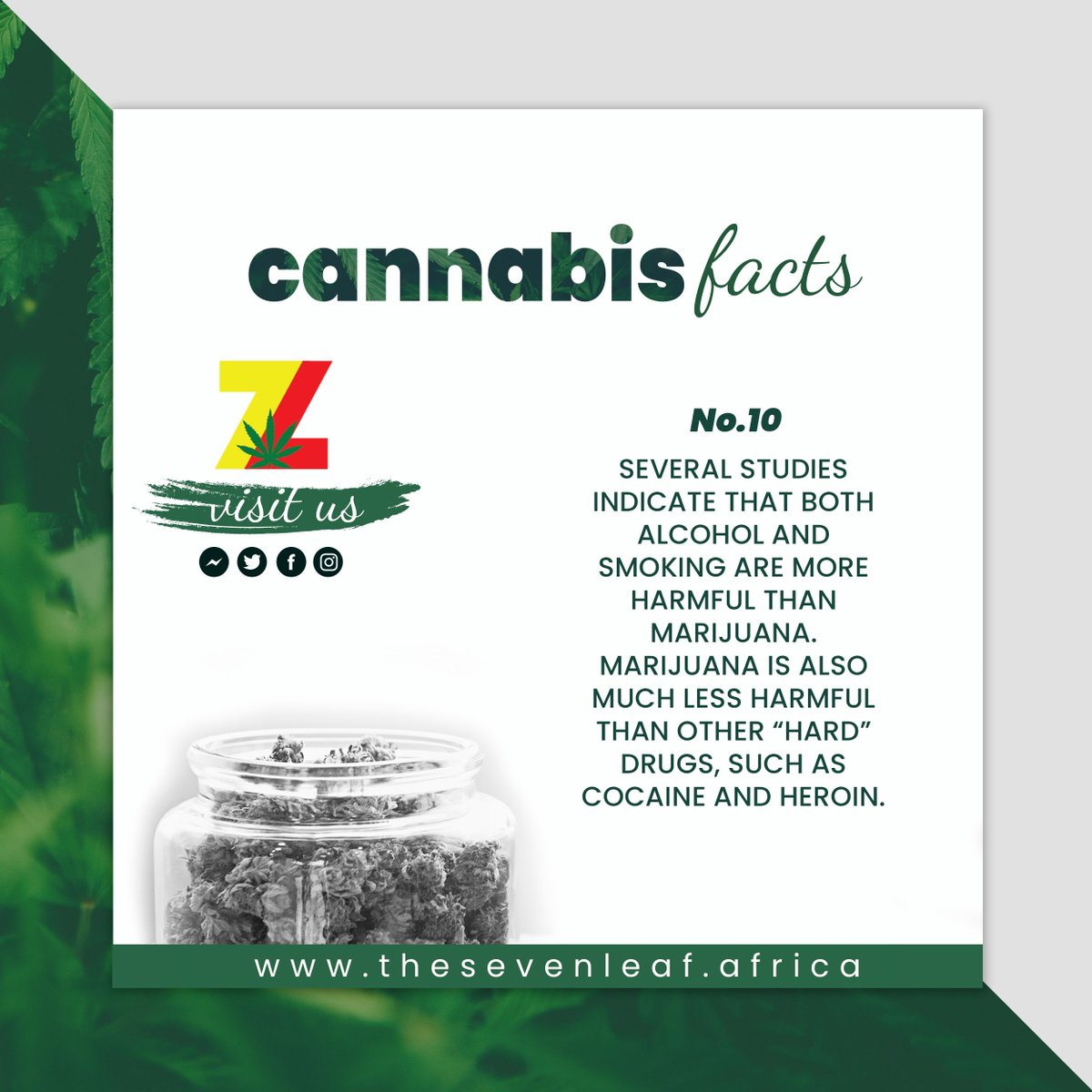 the7leaf's tweet photo. Fact or fiction⁠
#cannabis #cannabiscommunity #420 #marijuana #weed #thc #cbd #cannabisculture #hightimes #stoner #maryjane #kush #dabs #710 #highlife #highsociety #indica #medicalmarijuana #smoke #weedstagram #sativa #dank #hemp #high #mmj #love #7leaf #thesevenleaf #follow https://t.co/7vjsPssJ2u