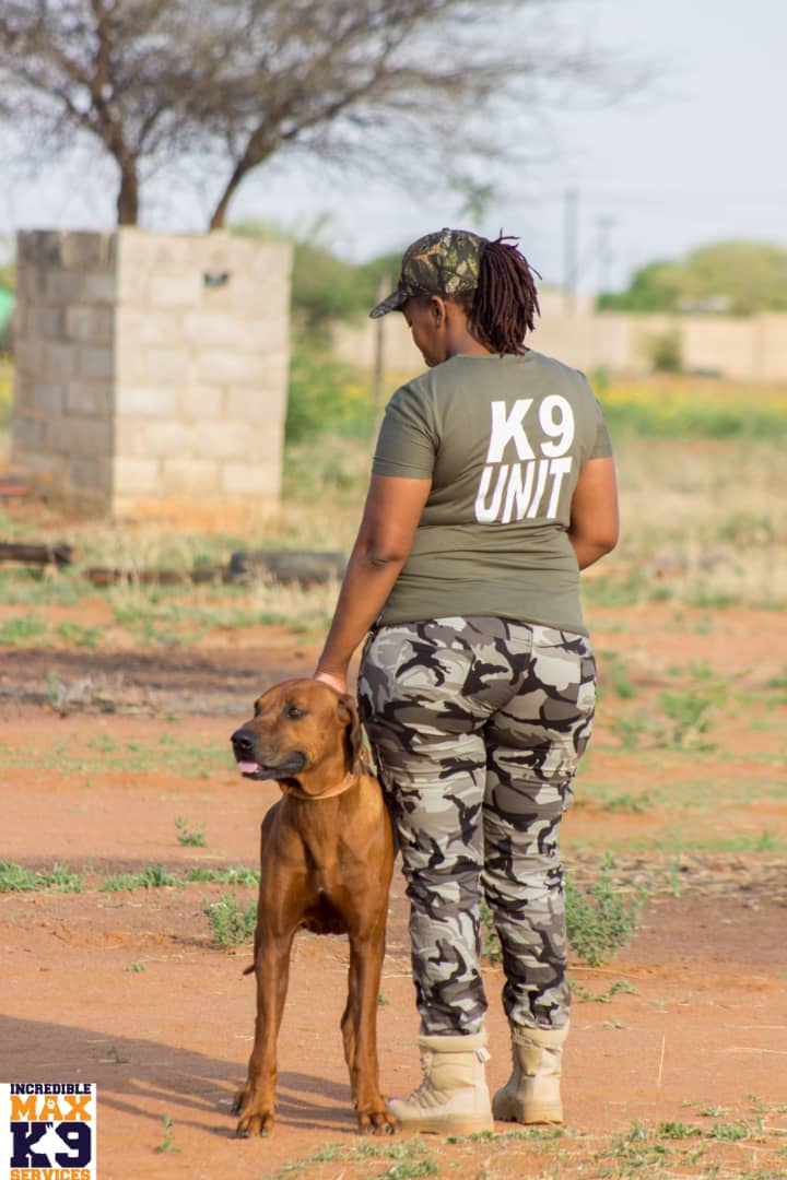 kedivdw's tweet photo. Contact us for a well trained guard dog.... We create a biting machines, live bullets.. 72844249 for enquiries 
#WEAREDAFUTURE
#WEAREPAWBUDDIES
#WEARETHEINCREDIBLETEAM
#K9PATROLSQUAD
#SKIMSALEROO https://t.co/iTmQn23xVO
