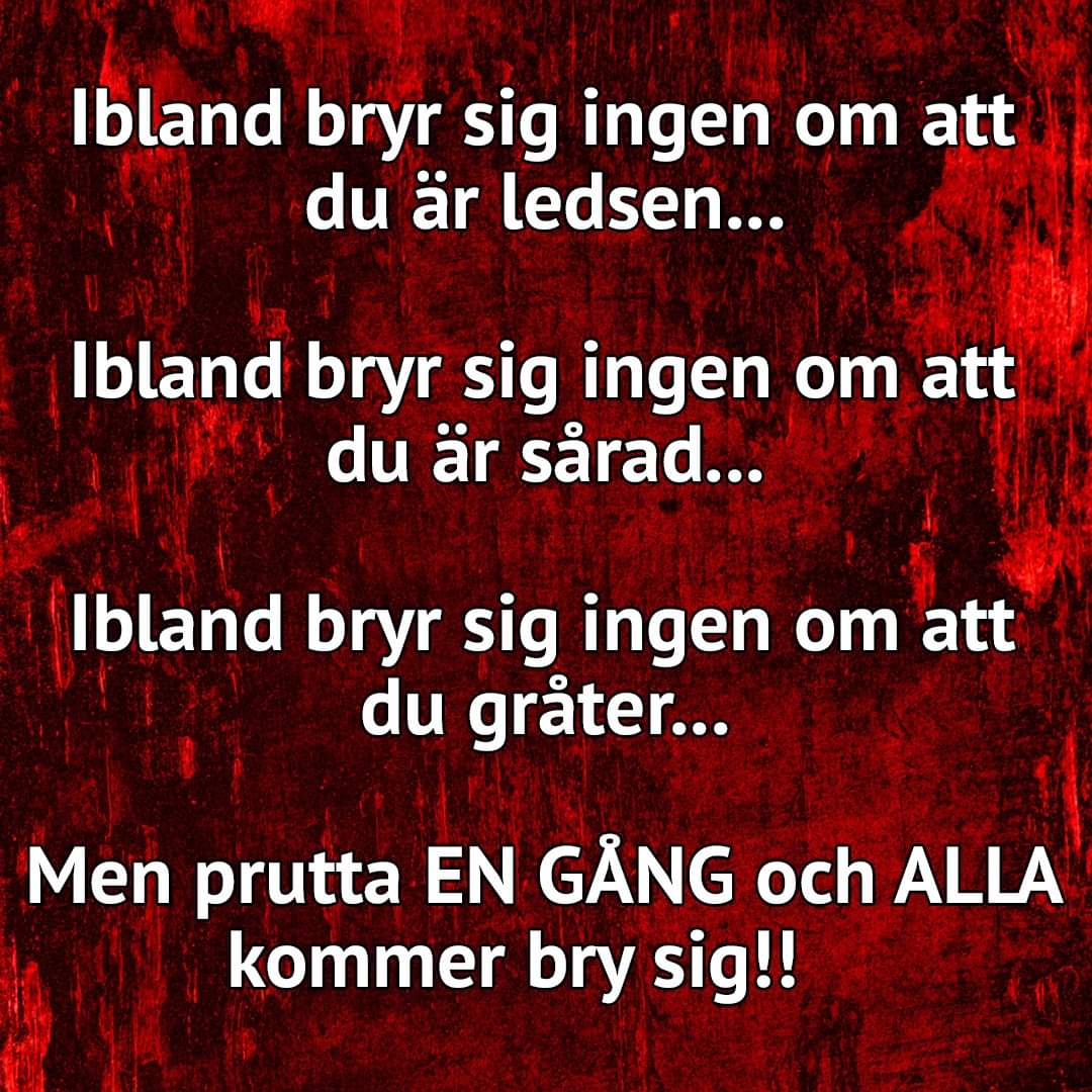 kortvilse's tweet photo. https://t.co/yiWGMCkHPA