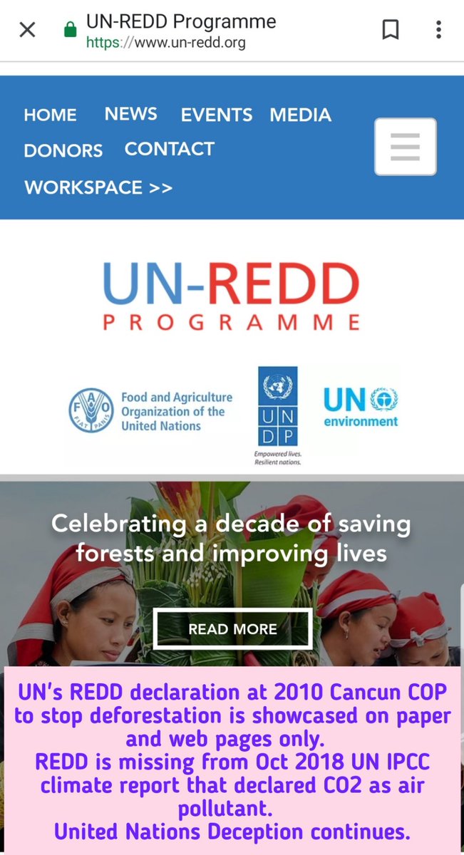 @Tea4gunsSC @unikgirl11 Only in 2010 UN made REDD accord for stopping deforestation but never implemented. UN told countries to chop trees for biomass power plants like in UK and Germany.