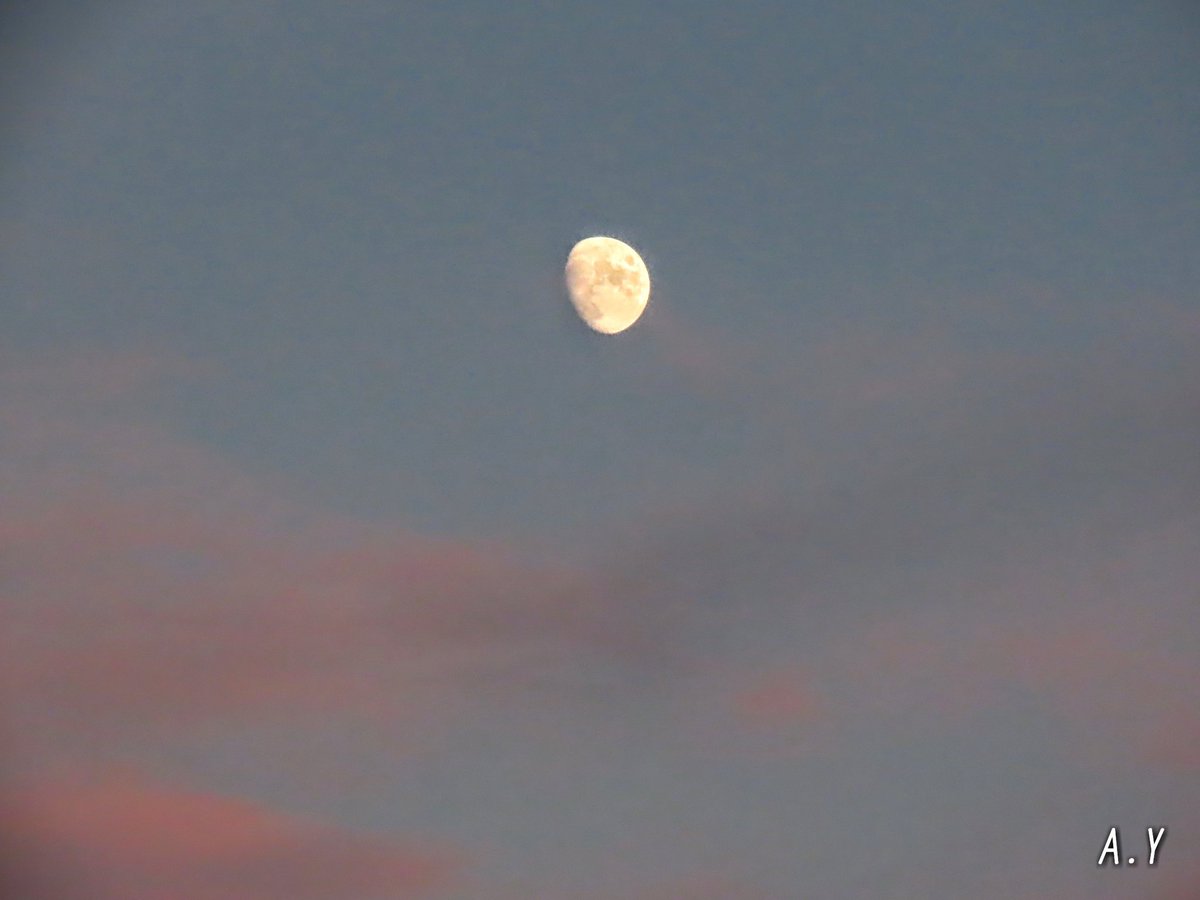 yumeasutw's tweet photo. 夕日を見送った後、
振り返ると
東の空には、
桃色に染まる雲間から
顔を出した🌔お月様（月齢10.5）

#月 #moon
#宵月
#空の名前
#雲の教室
#紅雲
#夕空 #夕焼け
#a2020 #a1027 #a202010 #a2020105 https://t.co/DM0O893Z1e