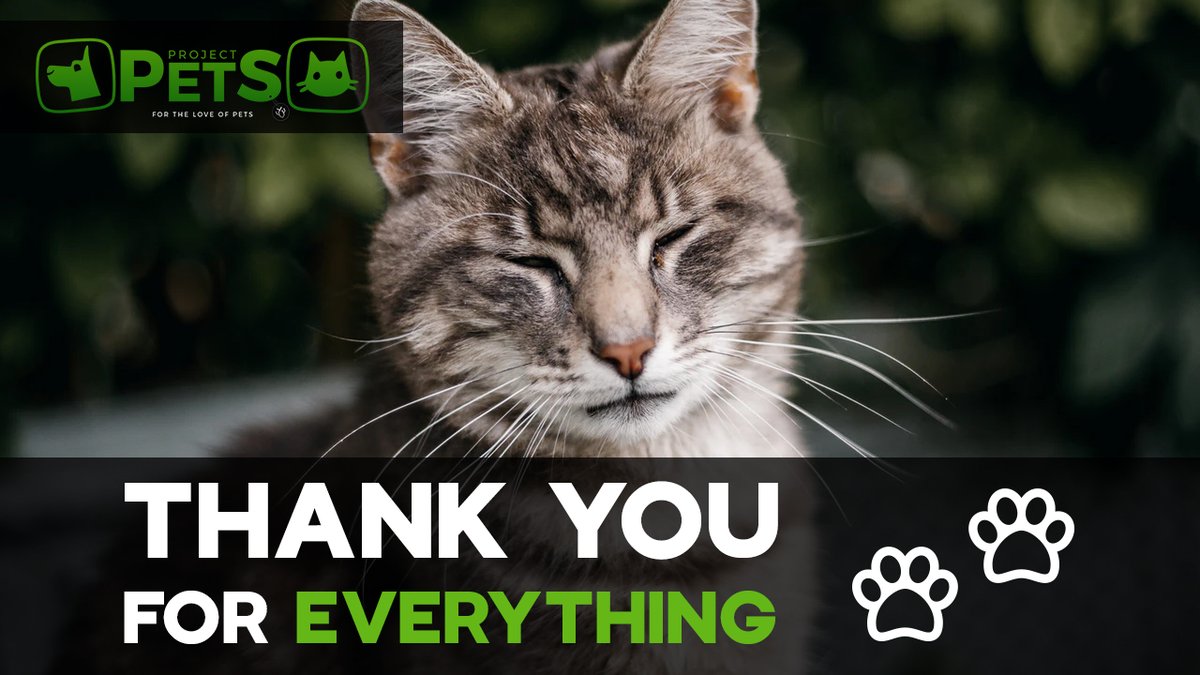 omnius_gaming's tweet photo. As the year draws closer to finally ending. We'd just like to thank everyone that supported our #CharityInitiative this year even through the harsh and hectic times. Every bit helps, regardless of how small! ๐๐ฑ๐ถ
๐https://t.co/llYVWUaIl4 | #ProjectPets https://t.co/X3nyIiE9h4
