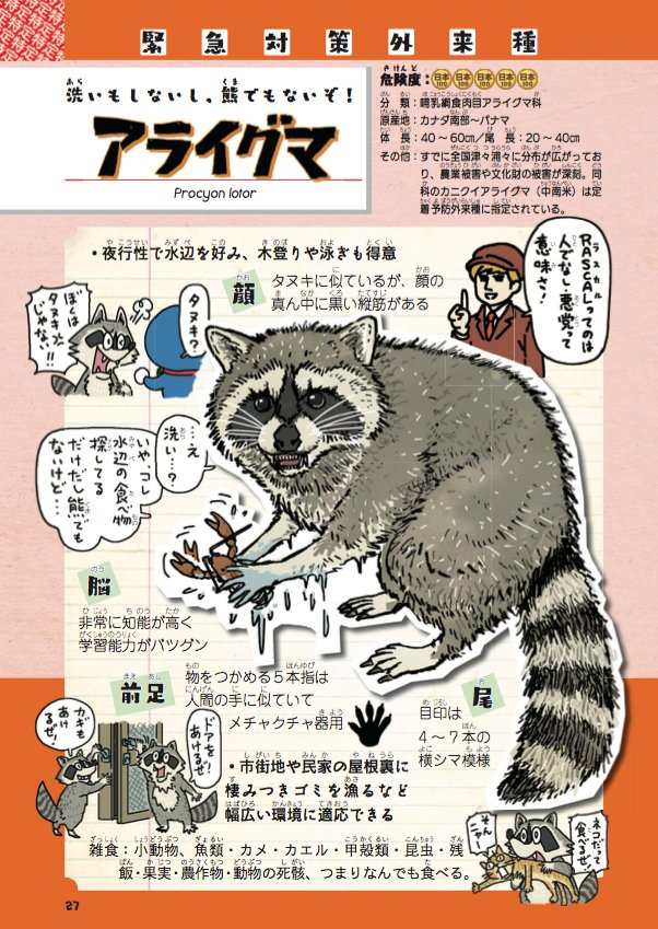 ラスカルがトレンド入りしているので、今日の日本における?アライグマの外来種問題は70年代の『あらいぐまラスカル』のヒットによるペット目的の輸入にあったことを声を大にして伝えておきたい。ちなみに Rascal ってのは、悪党って意味です。

https://t.co/ftA9K2r04G

『侵略! #外来いきもの図鑑』 