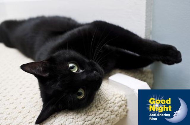 It’s National Black Cat Day! Did you know that these furry friends can sleep for up to 20 hours a day? So be a copycat and have the best night’s sleep with the Anti-Snoring Ring.
 
#nationalblackcatday #sleep #goodnightantisnoringring
