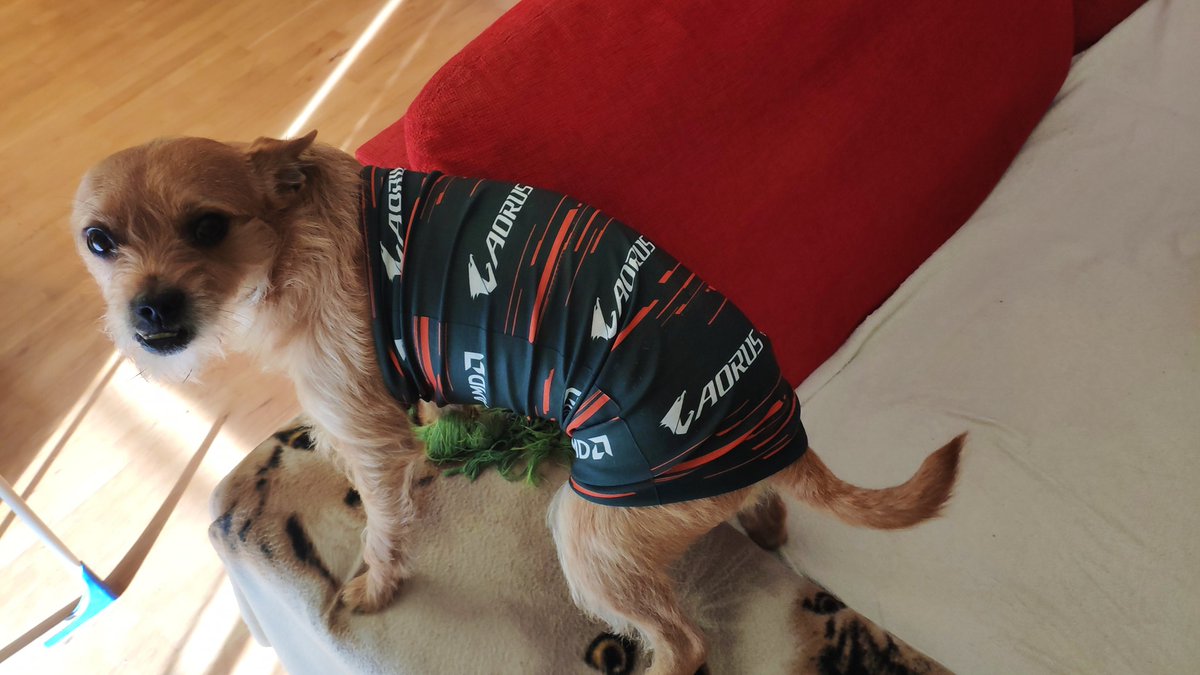 AORUS_DE tweet media