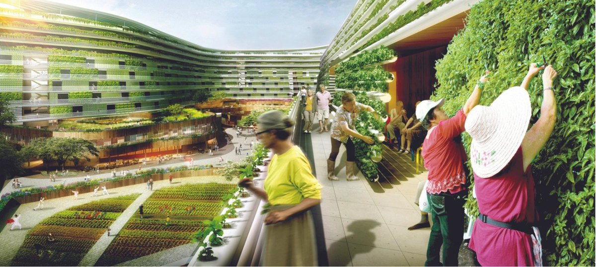 SArchifest's tweet photo. Happy and Healthy by SPARK Architects

See virtual exhibition here: https://t.co/sLpyeRzWmU

Image by SPARK Architects https://t.co/qi0gvoEH8Z