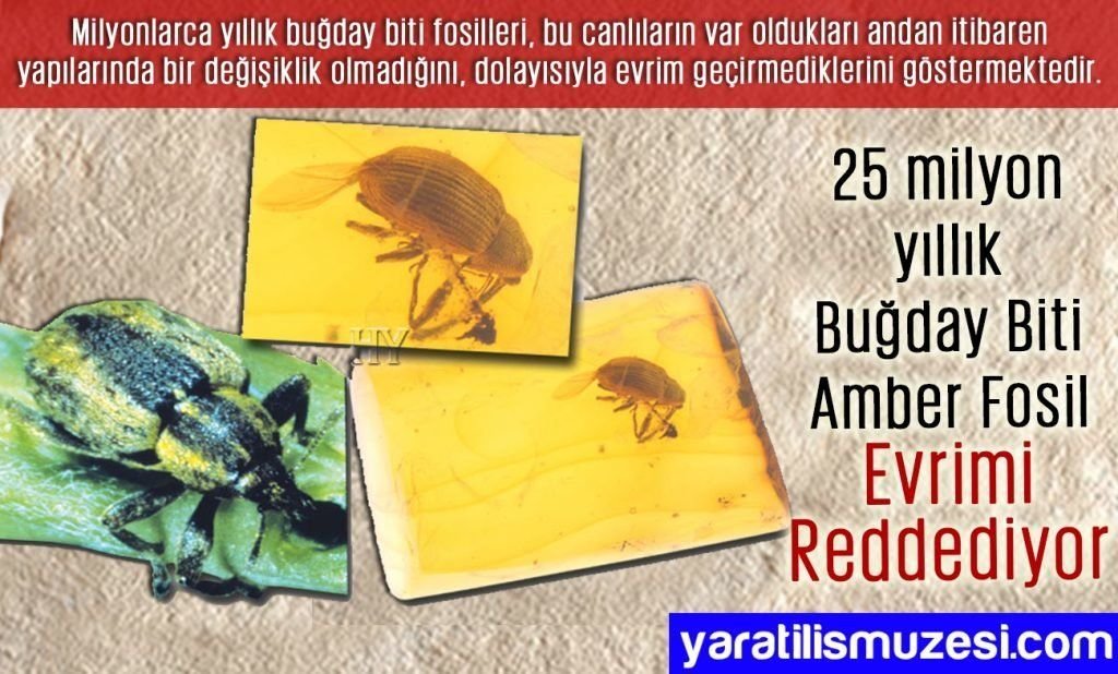 ferda_ci's tweet photo. @halitgunebakan2 https://t.co/XiMoW8PyOb
