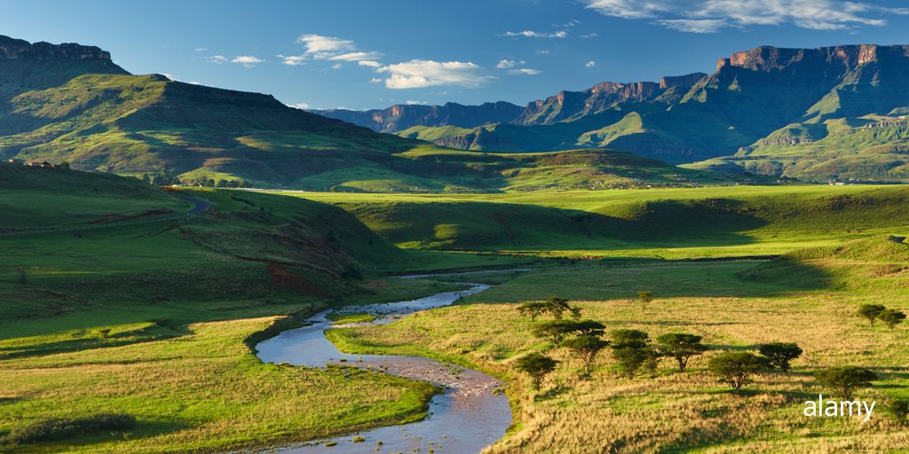 Alamy Content Team tweet media