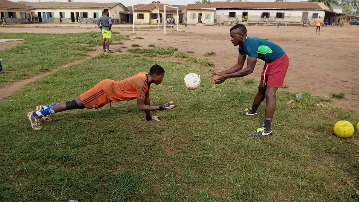 Royaltoms International tweet media