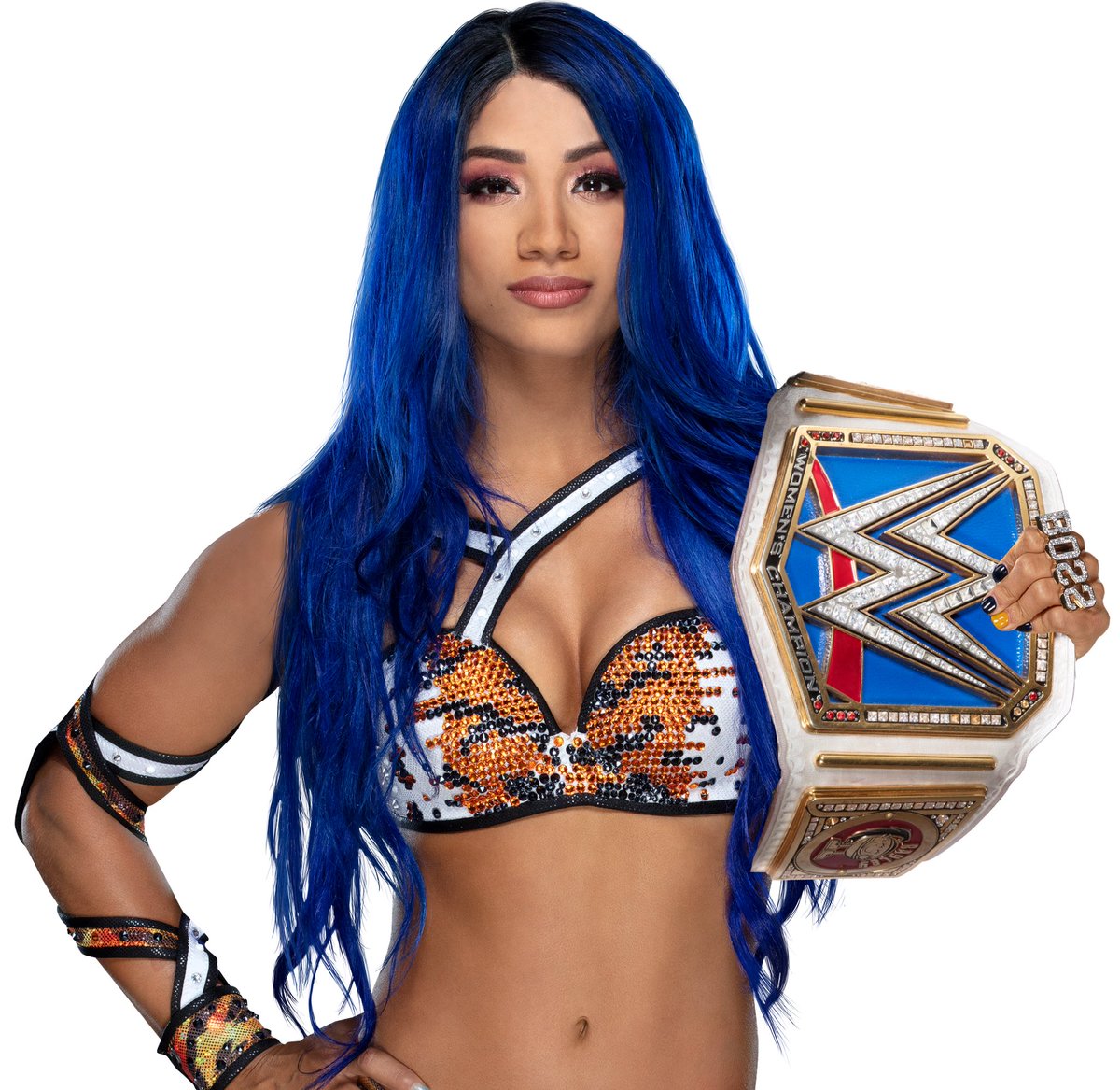 coco_nono1976's tweet photo. @SashaBanksWWE It was only a matter of when I knew my queen of the ring would own this title https://t.co/Y4NZHs2BAx
