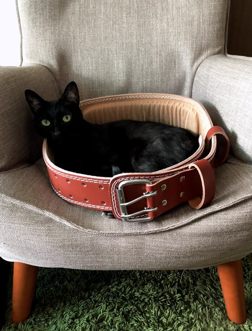知らなかった…10/27は全英黒猫の日なんだ

#とろねこチャレンジ
#全英黒猫の日
#NationalBlackCatDay
#BlackCatDay 