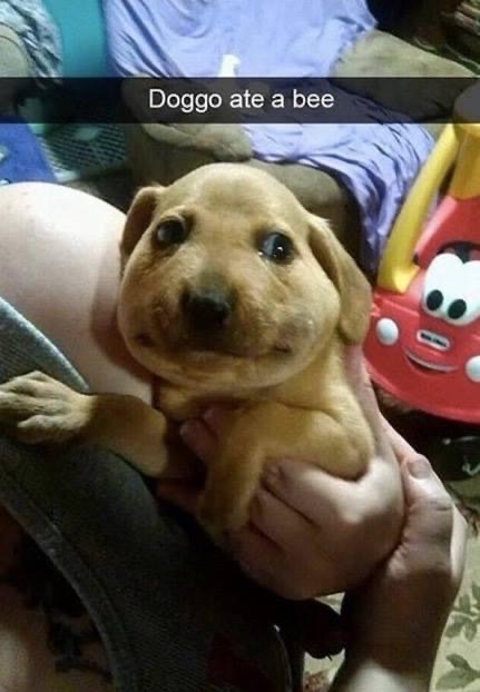 ordurebizarree's tweet photo. https://t.co/vx8iRJiSup