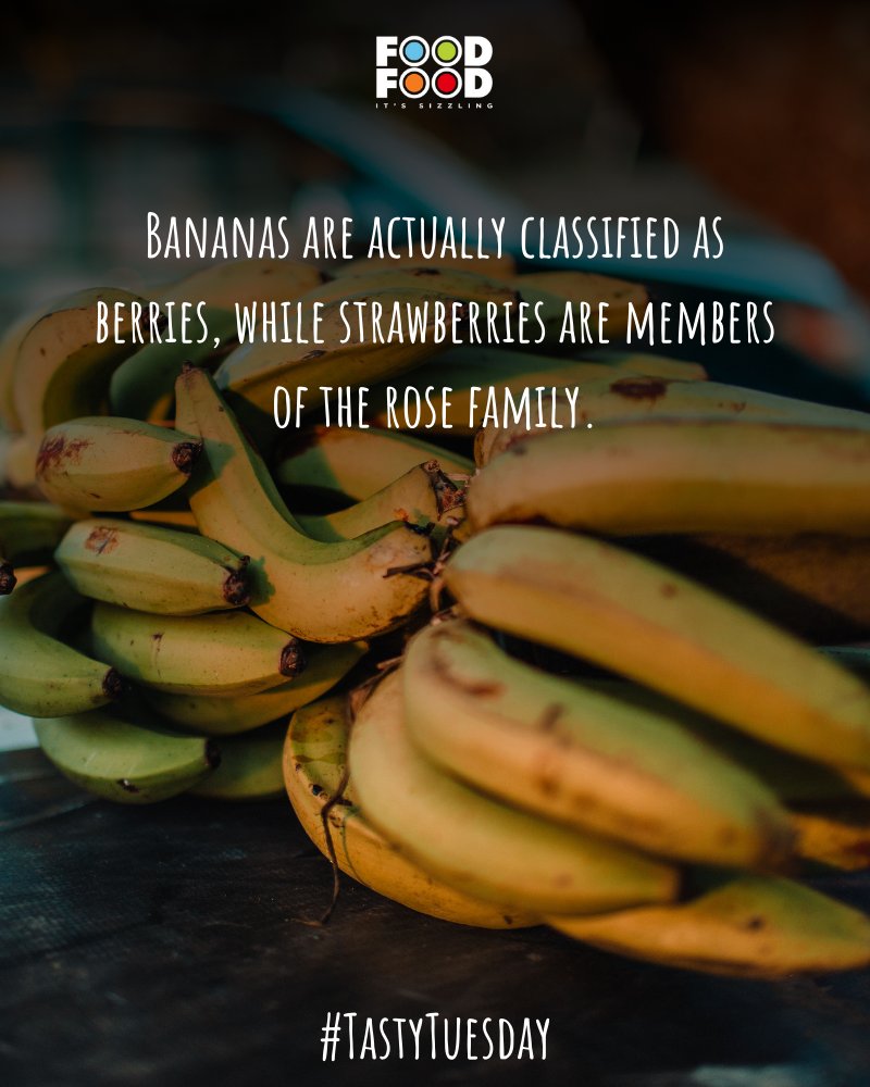 FoodFood's tweet photo. #TastyTuesday Technically, bananas are berries &amp; strawberries belong to the rose family.

#Banana #FoodFood https://t.co/K2MiUMgGgC