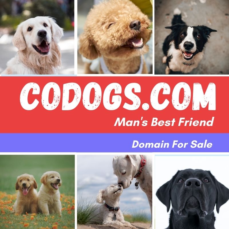 CODOGS.com

#dogs #doglovers #codogs #coworking #love #life #beauty #doglife #dogsofinstagram #dogfood #petclinics #veterinarymedicine #petfood #petvacation #petcare #petsofinstagram #doglover #brand #label #music #ecommerce #usa #india #startupindia #uk #canada