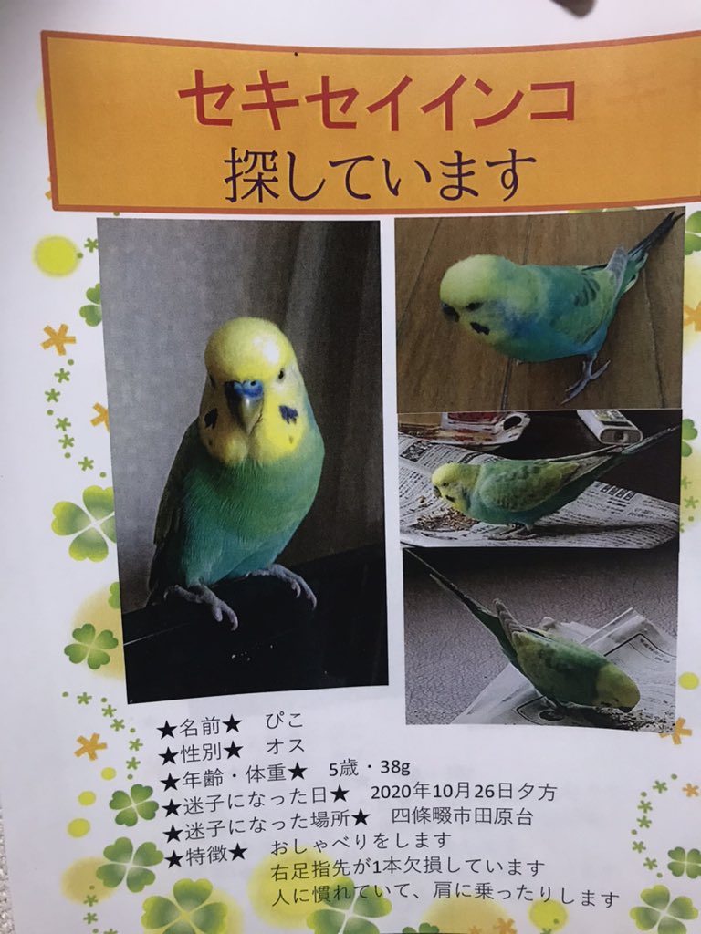 こたつどり W0vg0f3xww7bimu Twitter こたつどり W0vg0f3xww7bimu Twitter