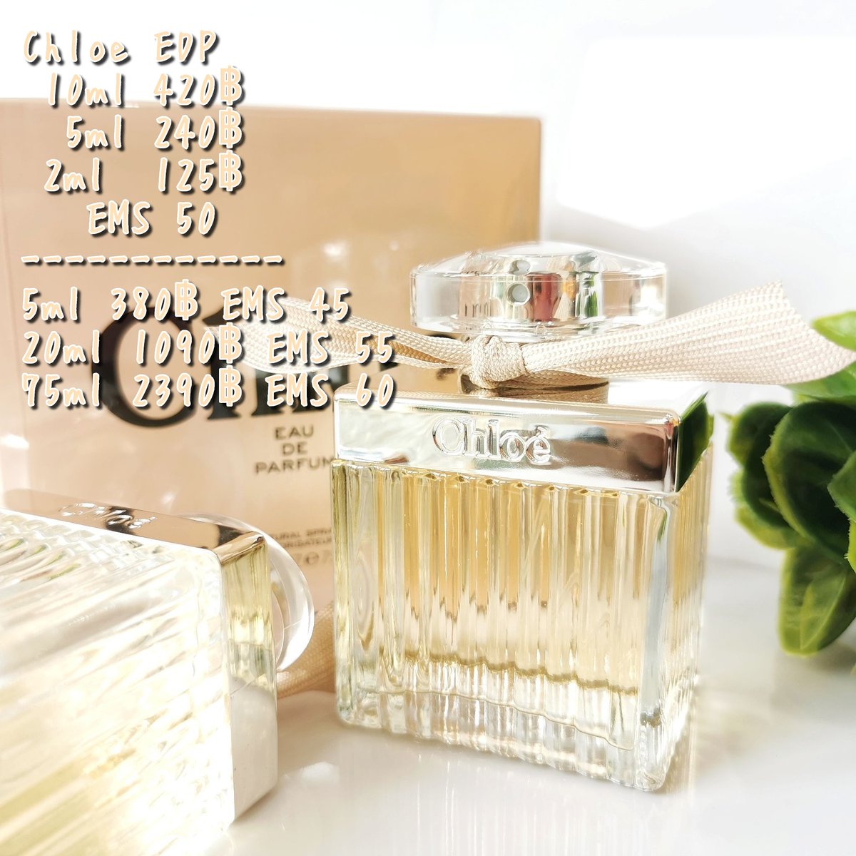 #Chloe EDP
หอมอมตะ ตลอดกาลลลลล
คุณหนูผู้สง่างาม เป็นกลิ่นที่แบบผู้ดีๆ เรียบร้อยน่ารัก ๆ
กุหลาบหวานๆ แบบไม่เวอร์วังจนเลี่ยนปวดหัว
กลิ่นหรู ดูมีรสนิยม ใช้ได้ทุกโอกาสเลยค่ะ #น้ำหอมแท้แบ่งขาย #น้ำหอม https://t.co/5UL9wNyUMa