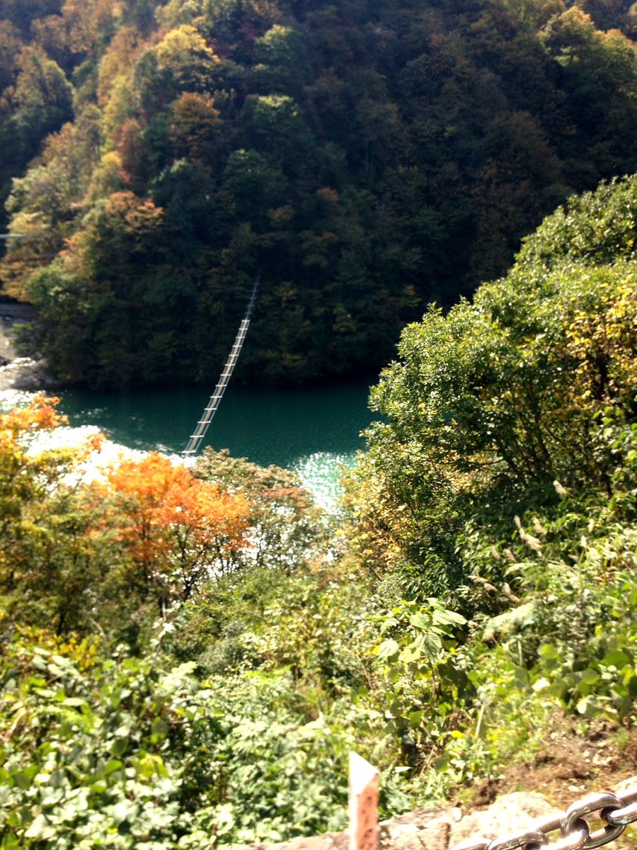 黒部峡谷鉄道 沿線風景です 紅葉がいい感じ 空の青 雪 紅葉 常緑樹の緑 水の色と楽しめる季節です トロッコ電車 黒部峡谷トロッコ電車 黒部峡谷鉄道 紅葉 Autumncolours Kurobegorge Gotoキャンペーン サンナビキ山 観光 絶景 旅 富山県