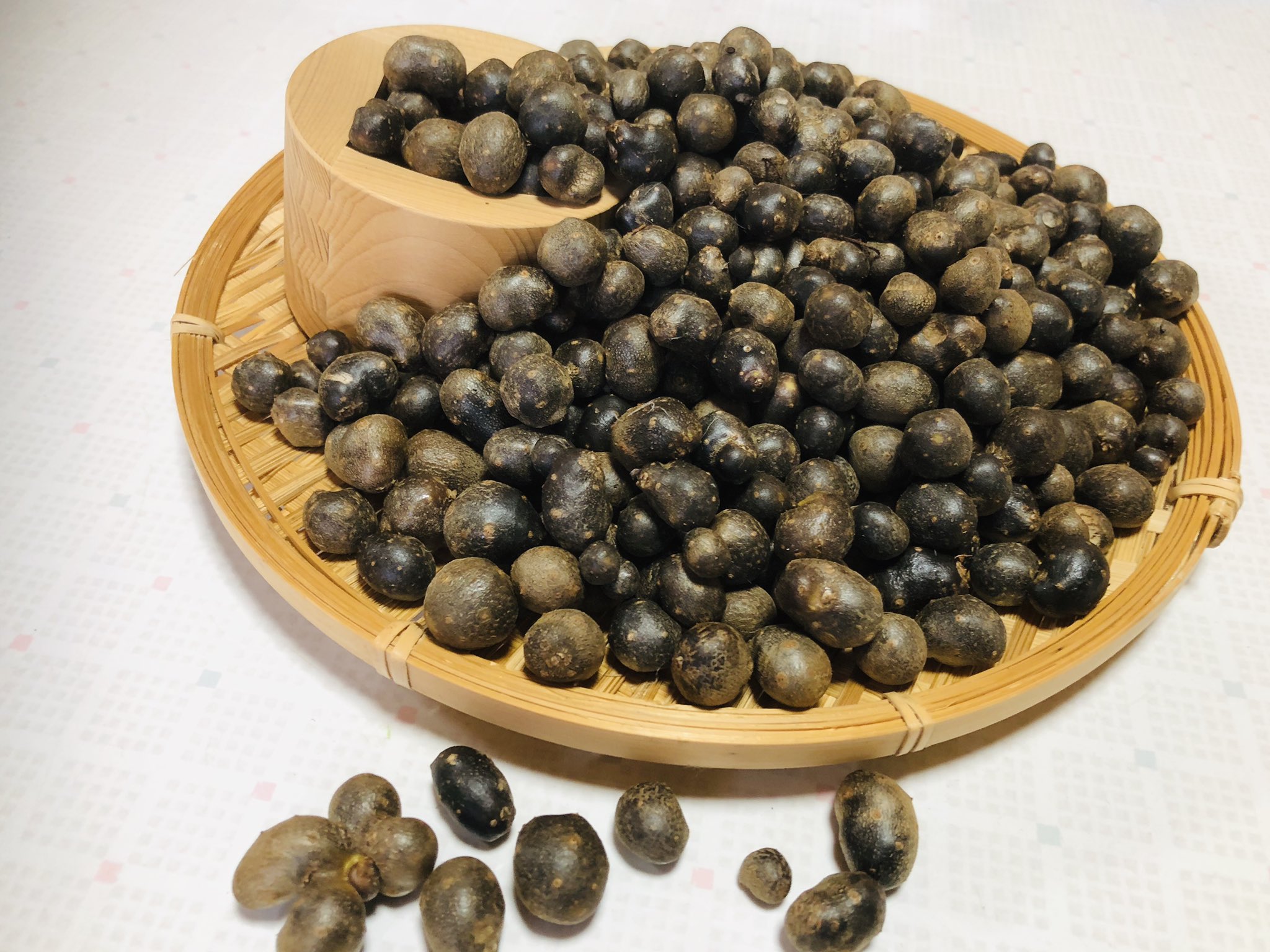 K Ishimatsu 秋の味覚 むかごを収穫 自然薯収穫まであと少し むかご 秋の味覚 むかごご飯 むかごごはん 自然薯 畑 自然薯栽培 畑がある暮らし 家庭菜園 T Co 447imhm1a2 Twitter