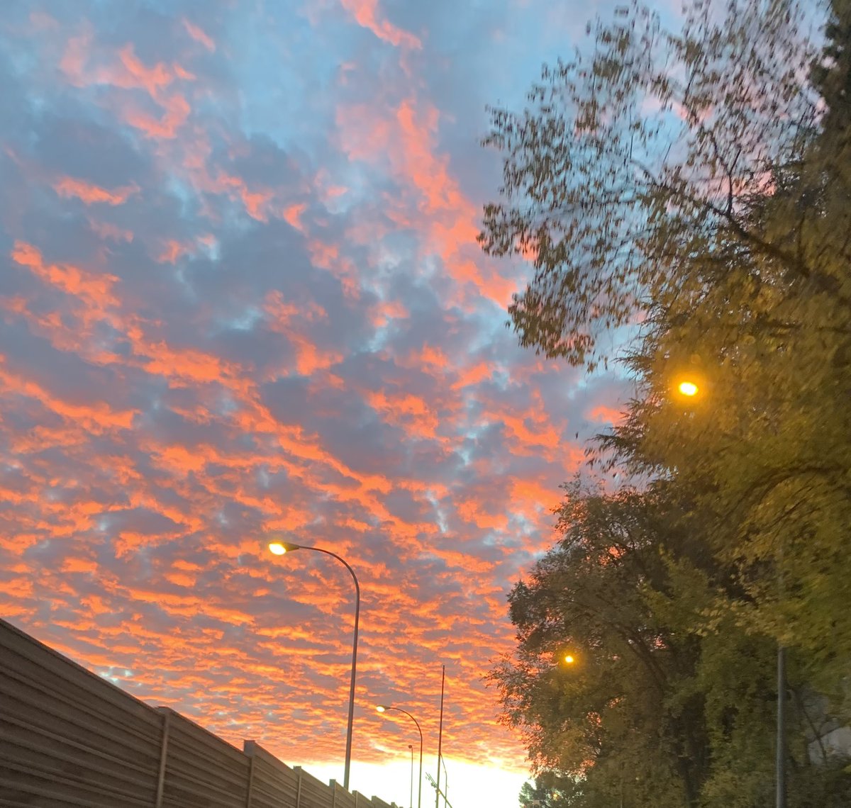davidss_78's tweet photo. @JaviYMar https://t.co/Fcc0zFreRO