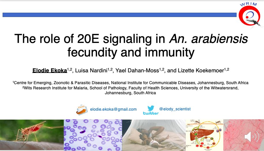 Elody_scientist's tweet image. Excited to present today #VirtualConference #Day2 #ECSC2020 #SAMRC2020scholar #LoveMyProject 😊😊😊