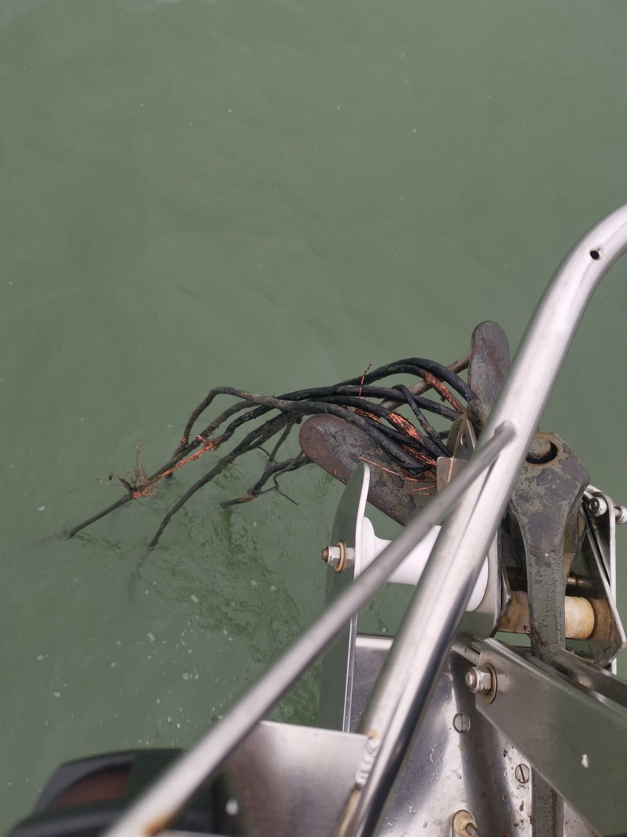 Fouled anchor... Luckily not live wire.... #HAMILTONSAILING #YACHTS #PICOFTHEDAY #NORTHSEA #ANCHORUP