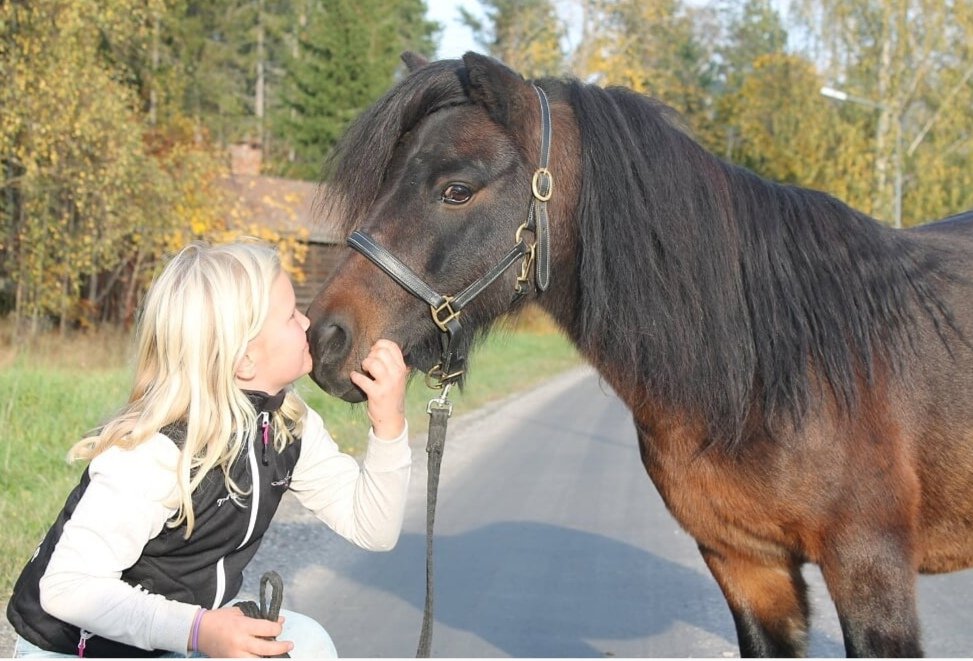 mooden92's tweet photo. Tindra fortsätter plocka med sig pallplatser o fina tider på ponnysarna hem efter tävlingarna 🤩
En fin 2a plats med hederskillen Blixten i söndags o Bosse kuta runt felfritt 🤩
#Edelfoder #Poab #Stalllassas https://t.co/s5QkQUCVZ8