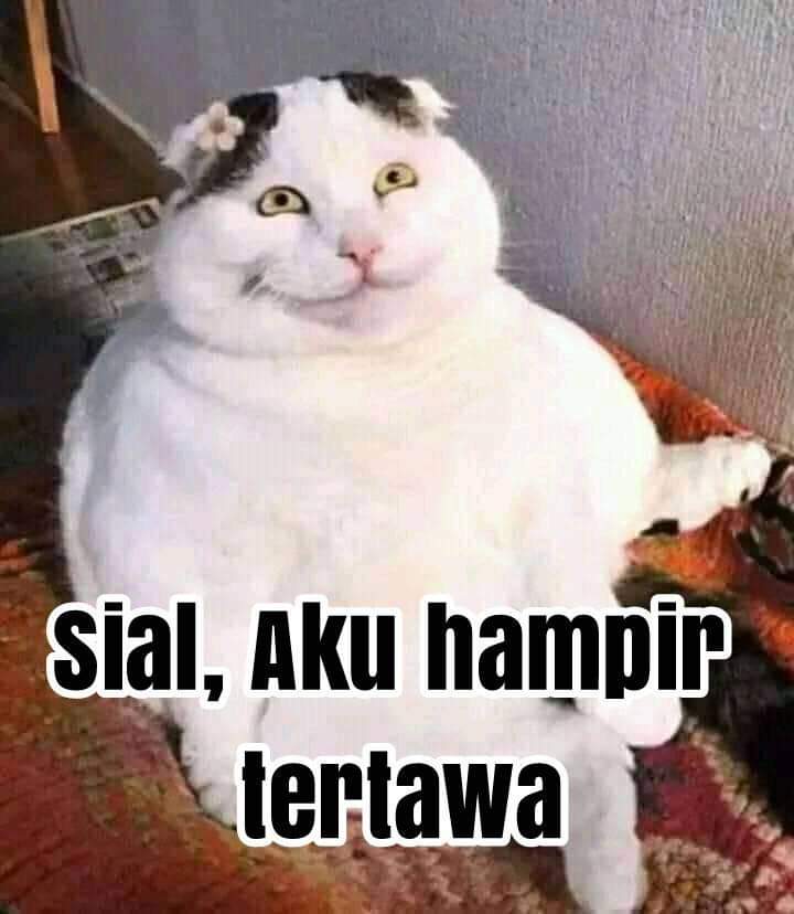 AnggiDikya03's tweet photo. @txtdrstoryWA https://t.co/w3fClUHjK1