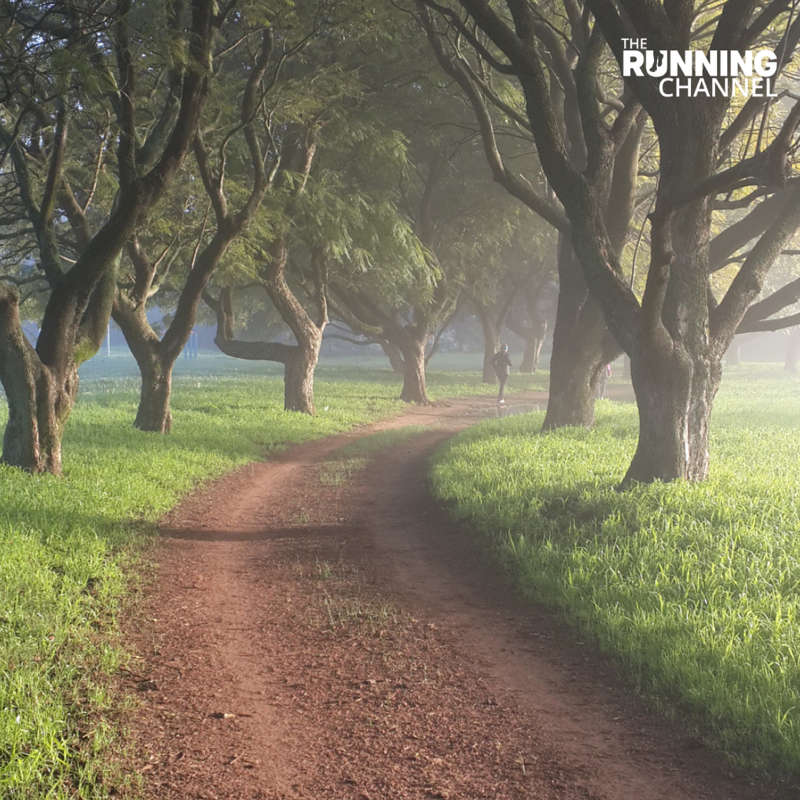 runningchannel's tweet photo. Another great way to run with the kids this #HalfTerm is to do a #notjuniorparkrun! You can find more information on #parkrun's website: https://t.co/IUStcEzlfS

Have you run a #notparkrun with your kids? Let us know in the comments 👇

#TheRunningChannel #FamilyFun #RunWithKids https://t.co/lfCvu5Rbks