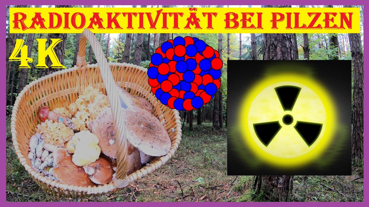 PilzUnd's tweet photo. Thema: Radioaktive Kontamination von Pilzen
https://t.co/iObWaP3NGU

#Pilze #Radioaktivität #Tschernobyl #Pilzmessungen #Cäsium #Atomphysik #Strahlung #Pilzesammeln #Pilzesuchen #Pilzefinden #Pilzblog #Pilzvideo #Pilzzeit #Pilzsaison #Pilzbelastung #Halbwertszeit #YouTube #Doku https://t.co/DqAFAAOy1E