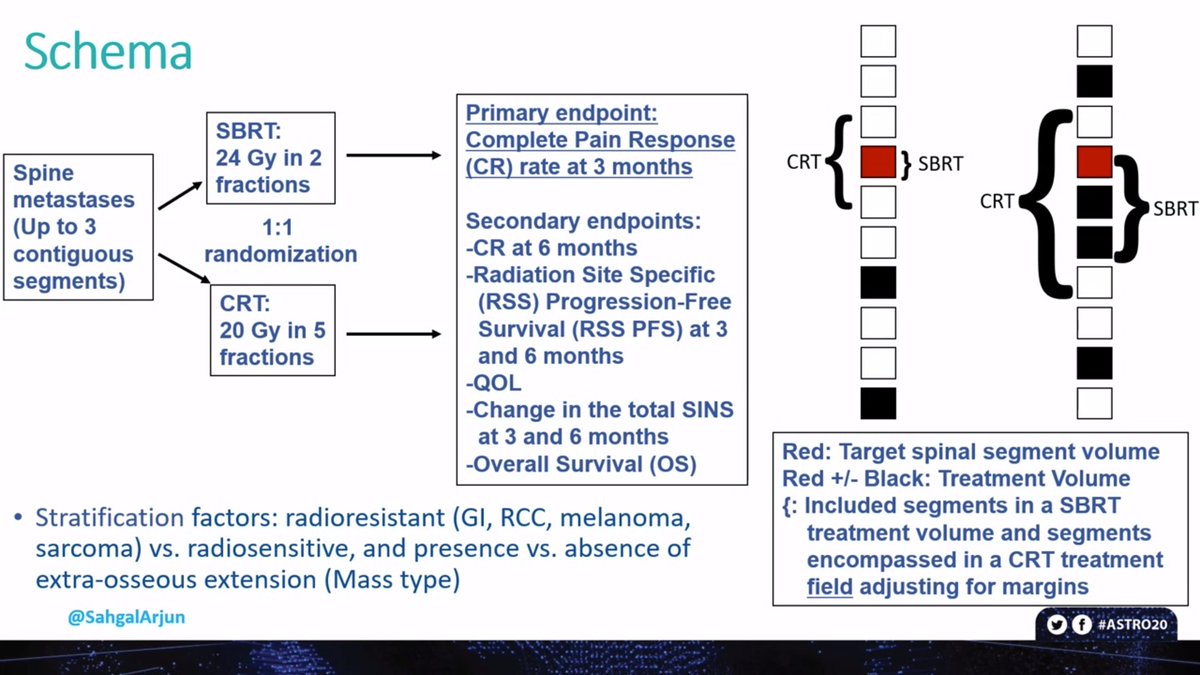 PBlanchardMD's tweet photo. Stereotactic body radiotherapy a new SOC for painful spinal metastases? Randomized SBRT 24Gy/2 vs conventional #radiotherapy 20Gy/5:

⬆️complete pain response. 

↔️ similar toxicity

Trend towards superior local control

Congrats @SahgalArjun &amp; Team

#ASTRO20 https://t.co/175P8EQf1e