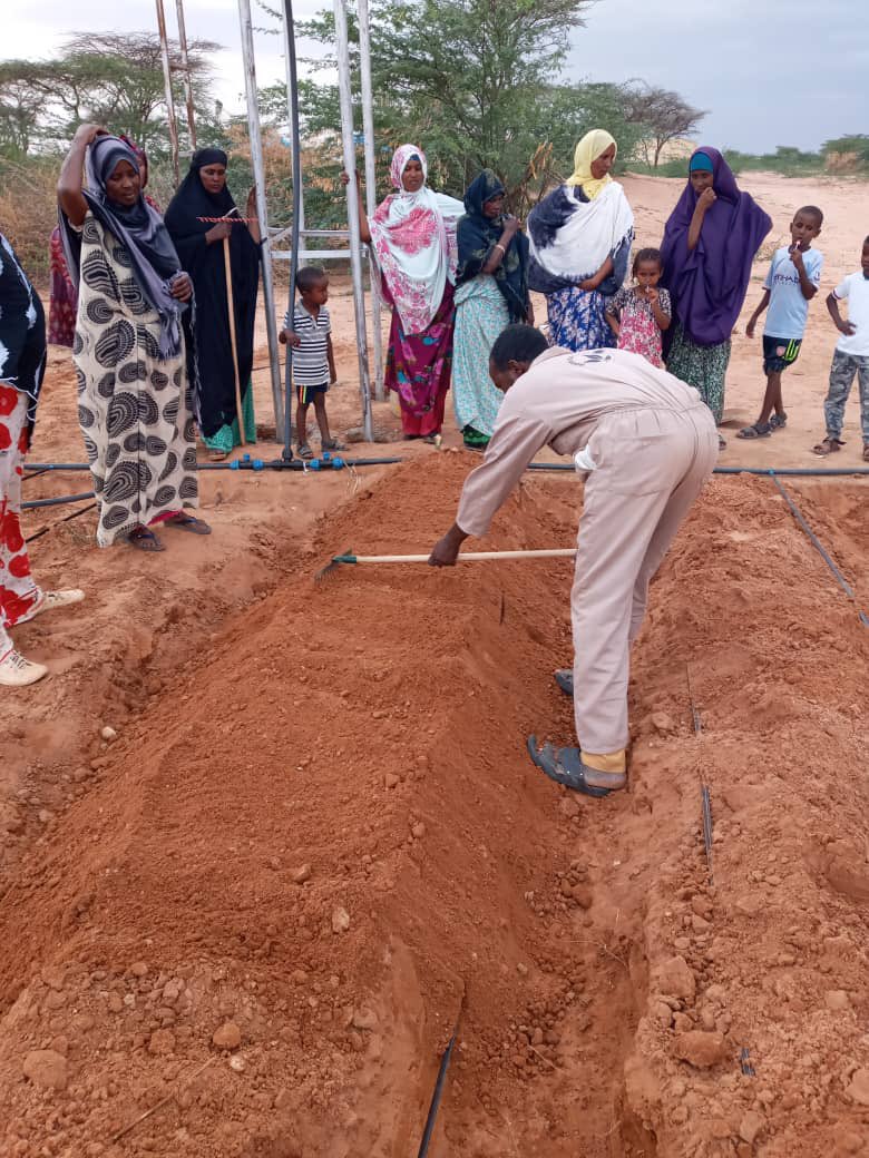 HorngardensB's tweet photo. Courtesy of FAO and Horn Gardens, community members in parts of Togdheer benefit in Smart  drip irrigation  farming. https://t.co/uhElcTENWt