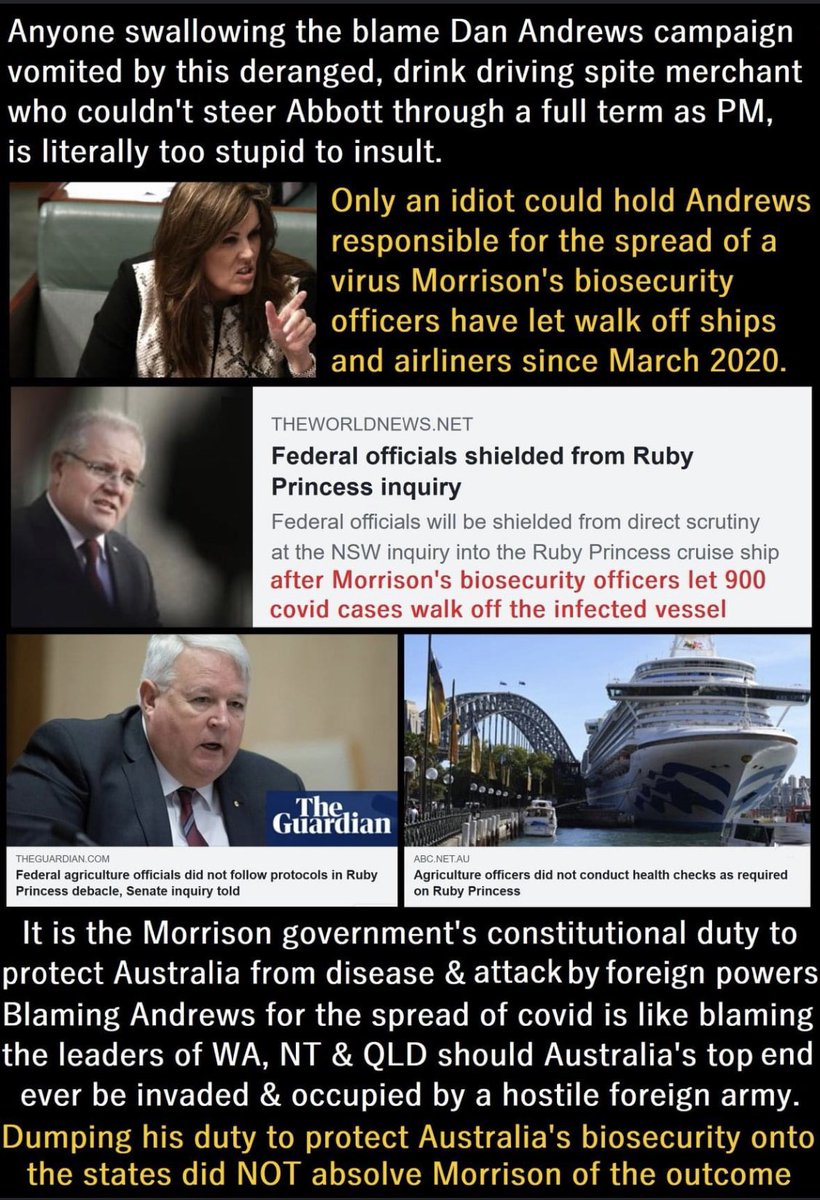 jamesrowlandmd's tweet photo. @cantucxrpno1 @Archie25555 @SkyNewsAust @DanielAndrewsMP Can I put your photo on that you imbecile 😂 your stupidity amazes me..... https://t.co/sVBKcqjLpq