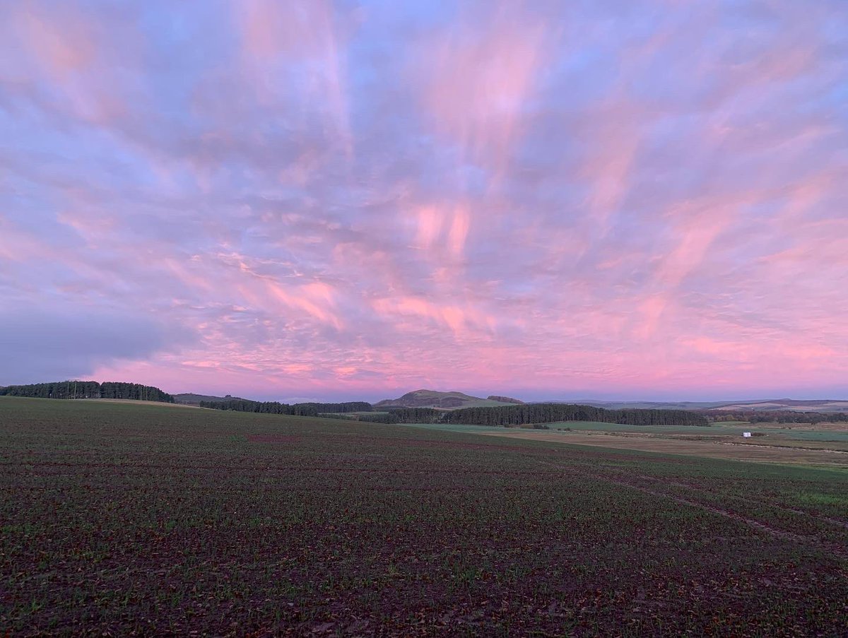 helenharradine's tweet photo. #nofilter on our sunrise walk this morning π₯π₯°π΄σ §σ ’σ ³σ £σ ΄σ Ώ#Scottishborders #earlstonramblers #kelsopaths https://t.co/50EsLv9wG9