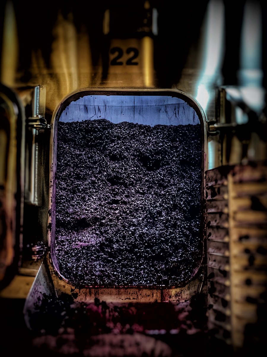 Décuvage ...

#chateaudelariviere #chateaulariviere #grandvindebordeaux #lariviere #malbec #bordeauxvignobleengagé #vindebordeaux #millesime2020 #fronsacgrandeurnature #vinsdebordeaux #fronsac #vinsdefronsac #vendanges #igersgironde #vinificationmasquées #vinification #decuvage