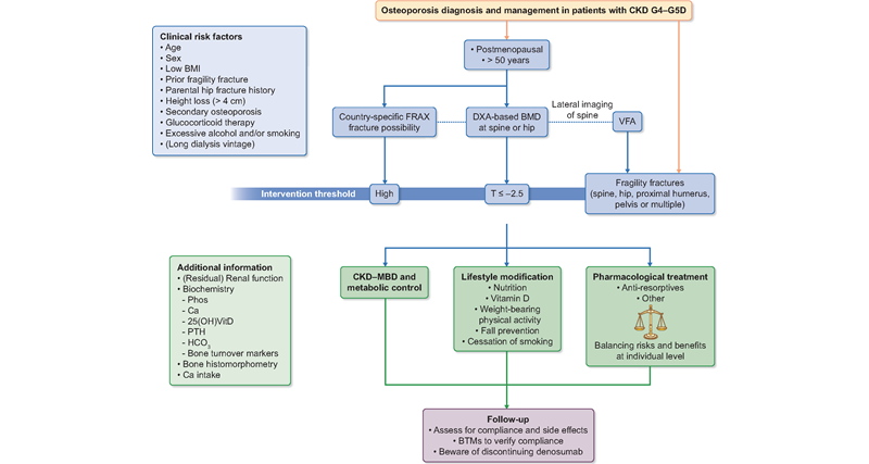 ERAkidney's tweet photo. 🆕 on NDT!
European Consensus Statement on the diagnosis and management of #osteoporosis in chronic kidney disease stages G4–G5D
on behalf of EUROD, an initiative of CKD-MBD WG.
👉 https://t.co/LJwbR8hLGY
#CKD #osteodystrophy
@NDTsocial https://t.co/IQc9iUoubx